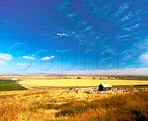 Circular field  for ease of irrigation  in the   Horse Heaven Hills south of Prosser    Washington USA
