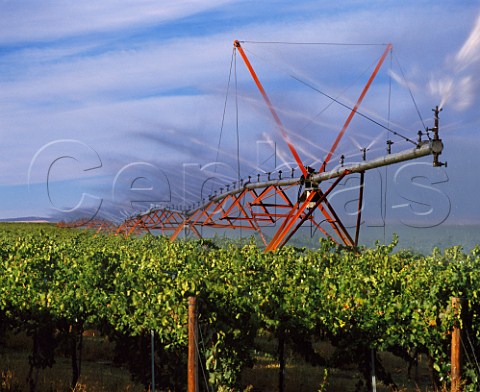 Irrigation of circular vineyard at    Champoux Vineyards in the Horse Heaven Hills near Paterson Washington USA    Horse Heaven Hills  Columbia Valley