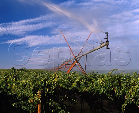 Irrigation of circular vineyard    Champoux Vineyards in the Horse Heaven Hills   south of Prosser Washington USA    Columbia Valley AVA