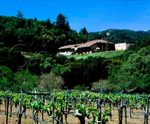 La Famiglia di Robert Mondavi Winery   Oakville Napa Co California