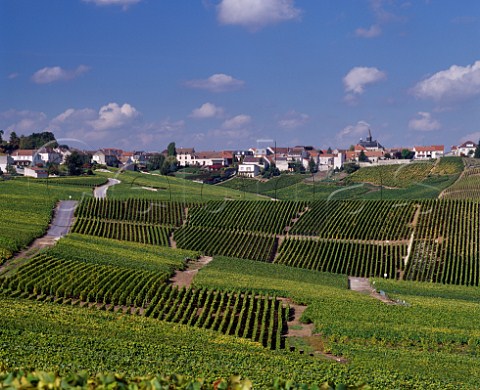 Village of Cramant and its vineyards on the Cte des Blancs Marne France   Champagne