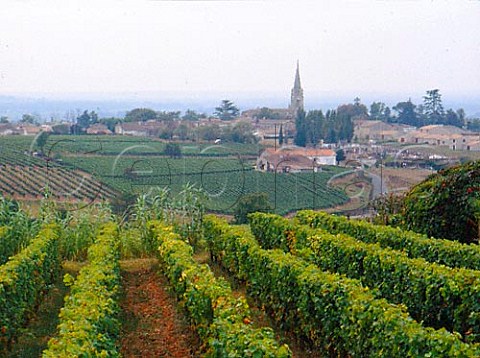 Vineyards with Saint Croix du Mont village beyond