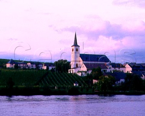 Church at Minheim village in Rosenlay einzellage   reflecting in the Mosel River Germany                Mosel