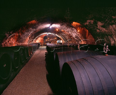 Barrel fermentation in cellar of Schloss Johannisberg Johannisberg Germany  Rheingau
