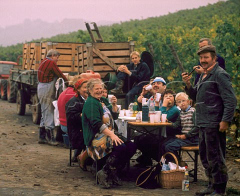 Grape pickers having lunch by MullerThurgau vineyard near Ochsenfurt Germany  Franken