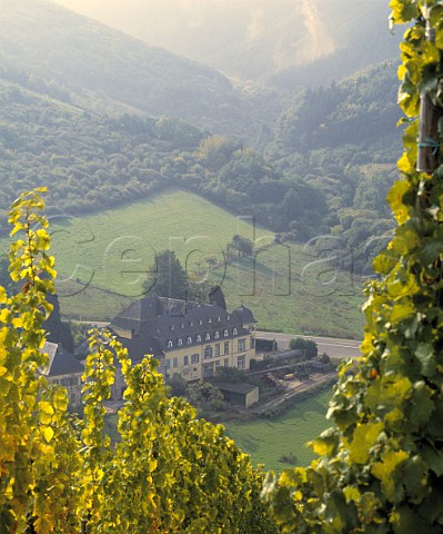 Scharzhof winery of Egon Mller at the foot of the  Scharzhofberg vineyard Wiltingen Saar Germany   Mosel