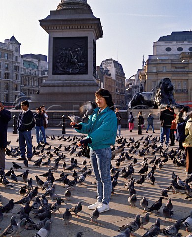 Tourist feeding pigeons in Trafalgar Square    London England