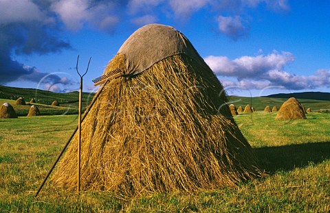Traditional hayrick with pitchfork and rake Dumfries  Galloway Scotland