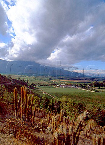 Bodega and vineyards of Errazuriz in the   Aconcagua Valley Chile