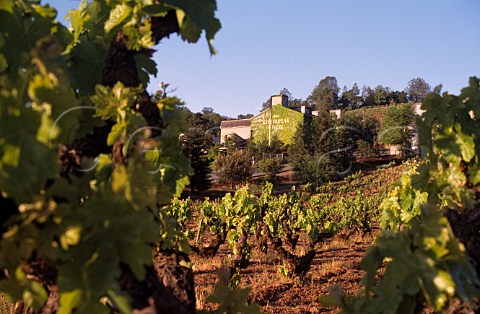 Geyser Peak Winery Geyserville   Alexander Valley Sonoma Co California