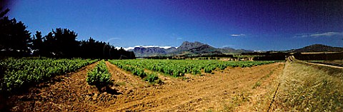Suid Agter estate Paarl Cape Province South   Africa Paarl WO