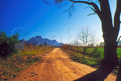 Road on LOrmarins estate Franschhoek   Cape Province South Africa Paarl WO
