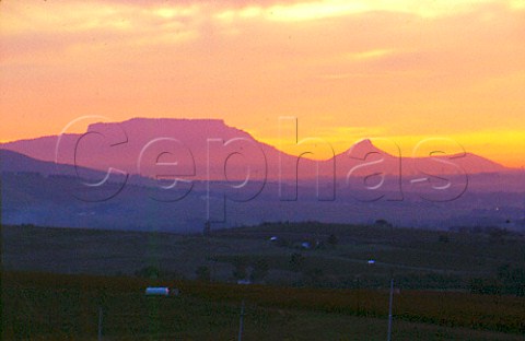 View west from Delheim across Muratie   Estate with Table Mountain and Devils   Peak in distance Stellenbosch Cape   Province