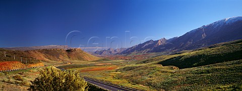 Autumnal vineyards in the Hex River Valley near Worcester Cape Province South Africa Worcester WO