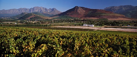 La Motte Estate with the Franschhoek Mountains   beyond Franschhoek Cape Province South Africa   Paarl