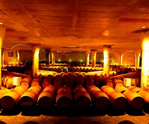 French oak barrels in the cellars of Vergelegen   Estate Somerset West Cape Province South Africa   Stellenbosch WO