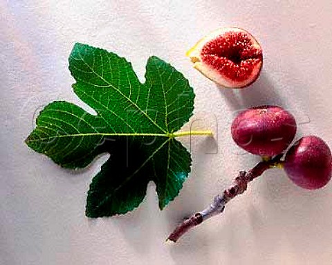 Figs with leaf
