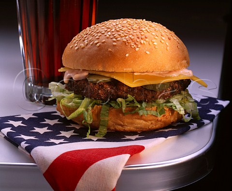 USA Cheeseburger