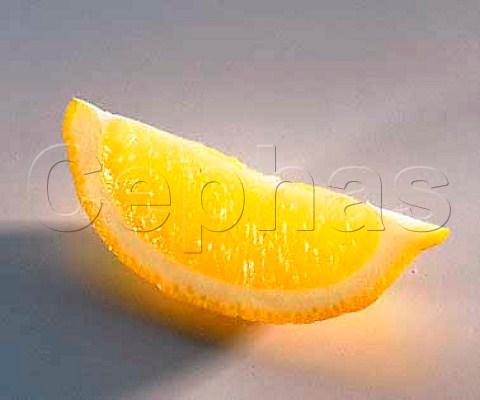 Segment of lemon