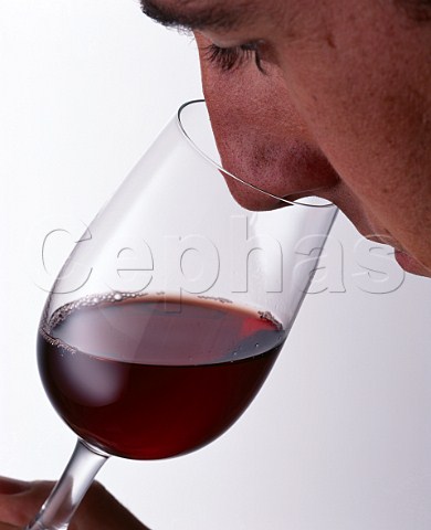 Sniffing red wine in a glass