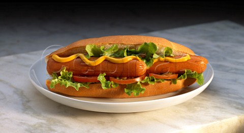 Hot Dog in roll with mustard lettuce and tomato