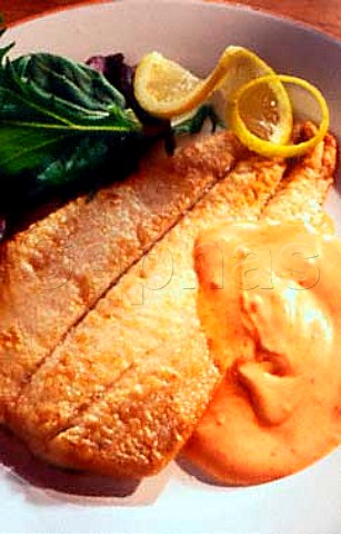 Fried fish with a tomato hollandaise   sauce