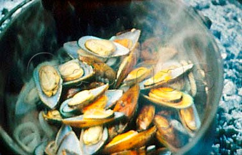 Mussels being cooked
