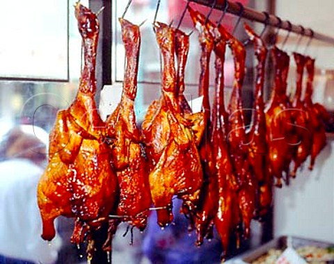 Prepared chickens in window of restaurant in   Chinatown  San Francisco California USA