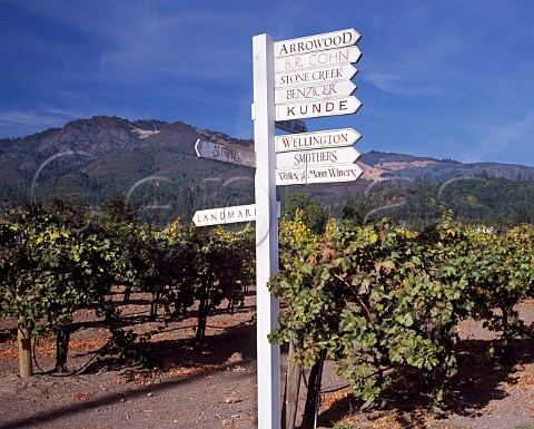 Signposts to wineries in the Sonoma Valley  California USA