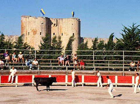Bullfight or Torrida at Aigues Mortes Provence     