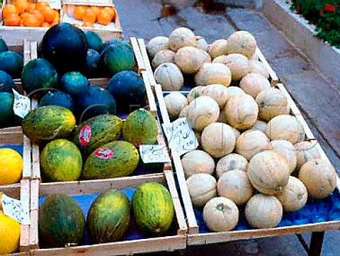 Local Melons for sale in market at Aigues Mortes   Provence