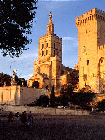 The 14th century Le Palais des Papes at Avignon   home of several Popes from 1309 to 1403 when the   papacy had left Rome