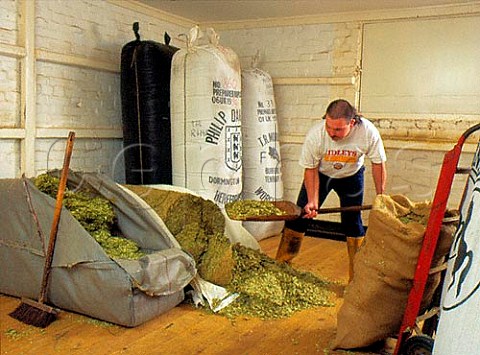 Measuring hops to be added to the brewing copper   Grey bag contains the aromatic hops white bag the   flavour hops  Ridleys Brewery Hartford End Essex   England