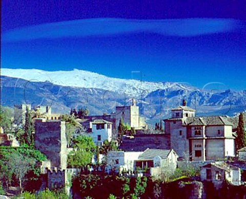 The Alhambra Palace with the snowcapped   Sierra Nevada beyond   Granada Andaluca Spain