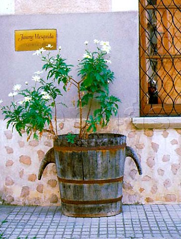 Flowers at entrance to bodega of Jaume Mesquida in   Porreres Majorca Spain