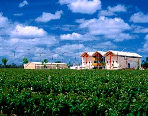 Rymill Wines  winery over vineyard Coonawarra   South Australia