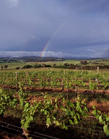 Rainbow over Yeringberg vineyard Lilydale  Victoria Australia Yarra Valley