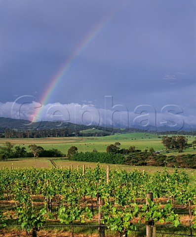 Rainbow over Yeringberg vineyard Lilydale Victoria Australia Yarra Valley