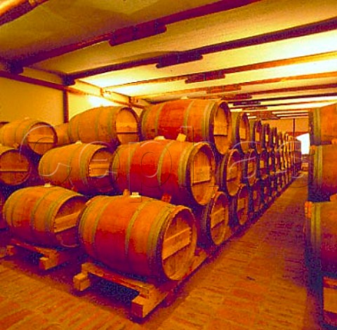 French oak barriques in the cellars of Los Vascos  Peralillo Chile