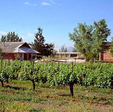 Vina Canepa in the Maipo Valley near Santiago Chile