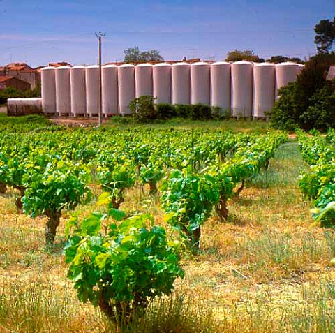 Outdoor tanks at the Montpeyroux Cooperative    Hrault France  Coteaux du Languedoc Montpeyroux