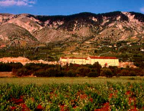 Vineyards around the San Gerasimo cooperative Agios Gerasimos Cephalonia Ionian Islands Greece