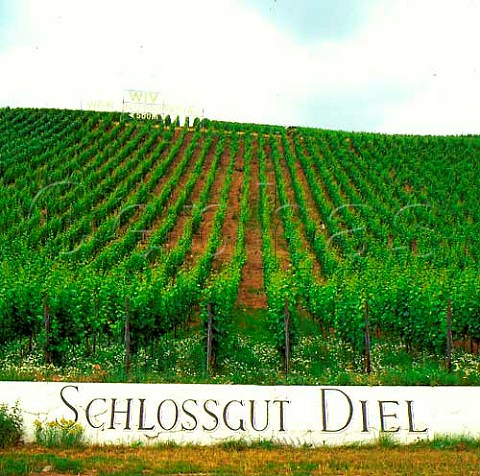 Dorsheimer Pittermannchen vineyard of Schlossgut   Diel  Germany  Nahe