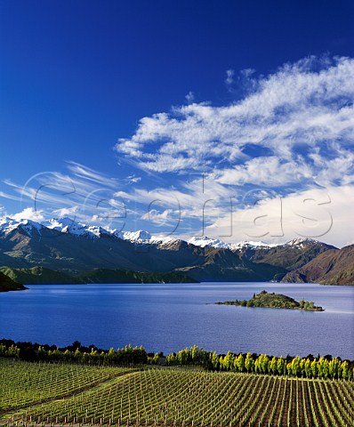 Rippon Vineyard on the shore of Lake Wanaka with the   Buchanan Mountains in the distance   Central Otago New Zealand