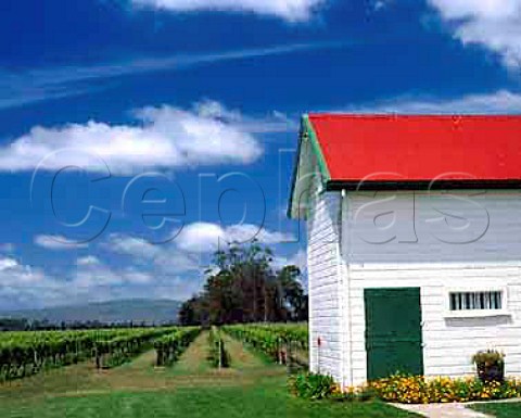 The Stables Winery of Ngatarawa near Hastings  New Zealand   Hawkess Bay
