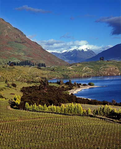 Rippon Vineyards by Lake Wanaka Central Otago New   Zealand
