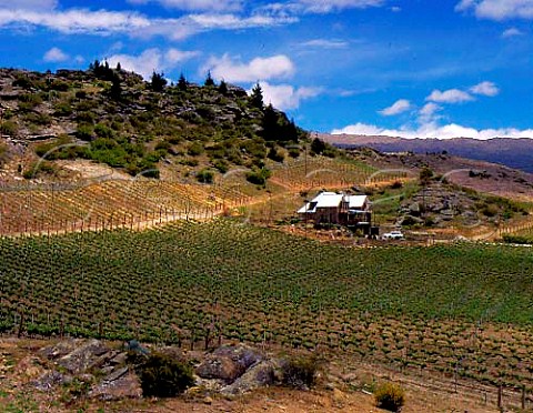 Black Ridge vineyard and winery near Alexandra   Central Otago New Zealand