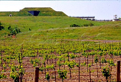 Artesa Winery and vineyard formerly   Codorniu Napa Napa California   Carneros AVA