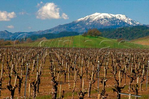 Mount St Helena with a rare snowcap at the northern end of the Napa ValleyCalifornia