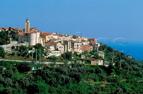 Village of Le Castellar   AlpesMaritimes France